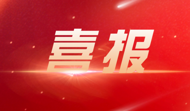 天府盛海外仓双十一战绩 再创新高